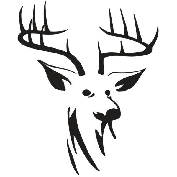 RR HUNT 42 RQC Thumbnail