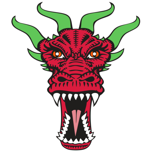 BAW DRAGON 09 RC Thumbnail