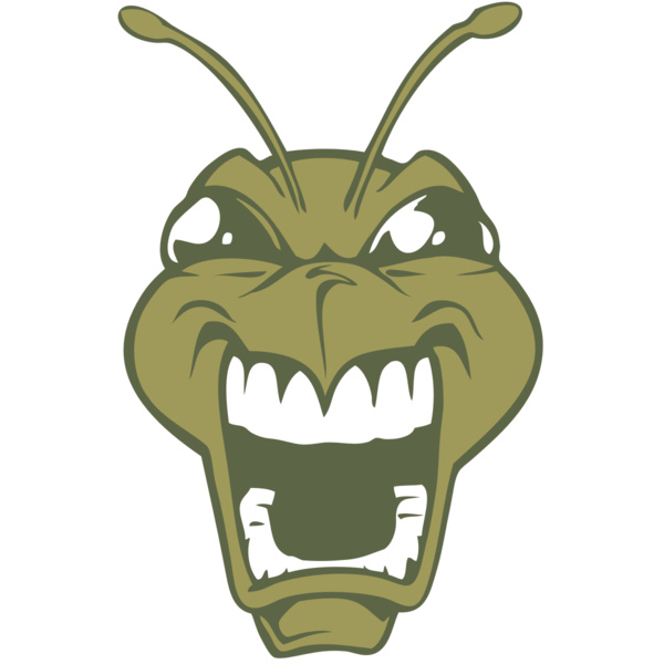 BAW BEE 13 RC Thumbnail