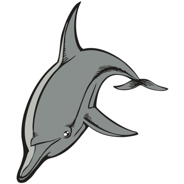 BAW DOLPHIN 03 RC Thumbnail