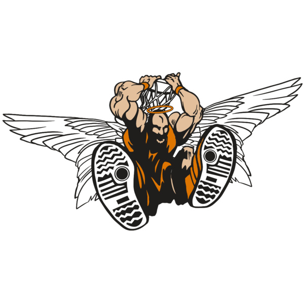 AR17 ANGEL BSKT 07 RQC Thumbnail