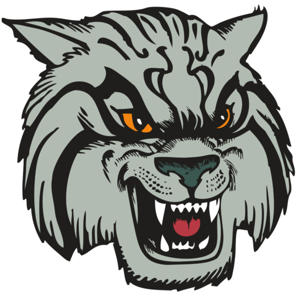 BAW WILDCAT 03 RC Thumbnail