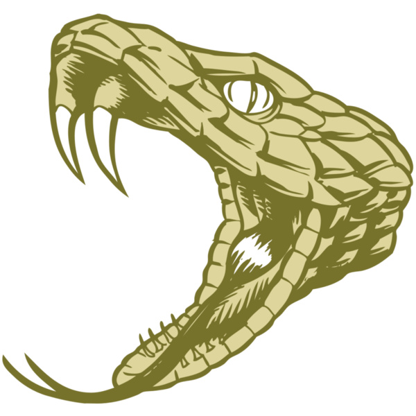 BAW SNAKE 11 RC Thumbnail