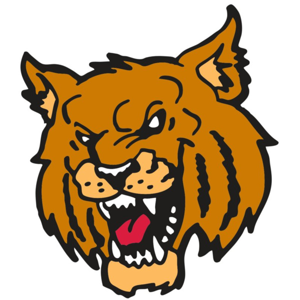 AR WILDCAT 36 RC Thumbnail